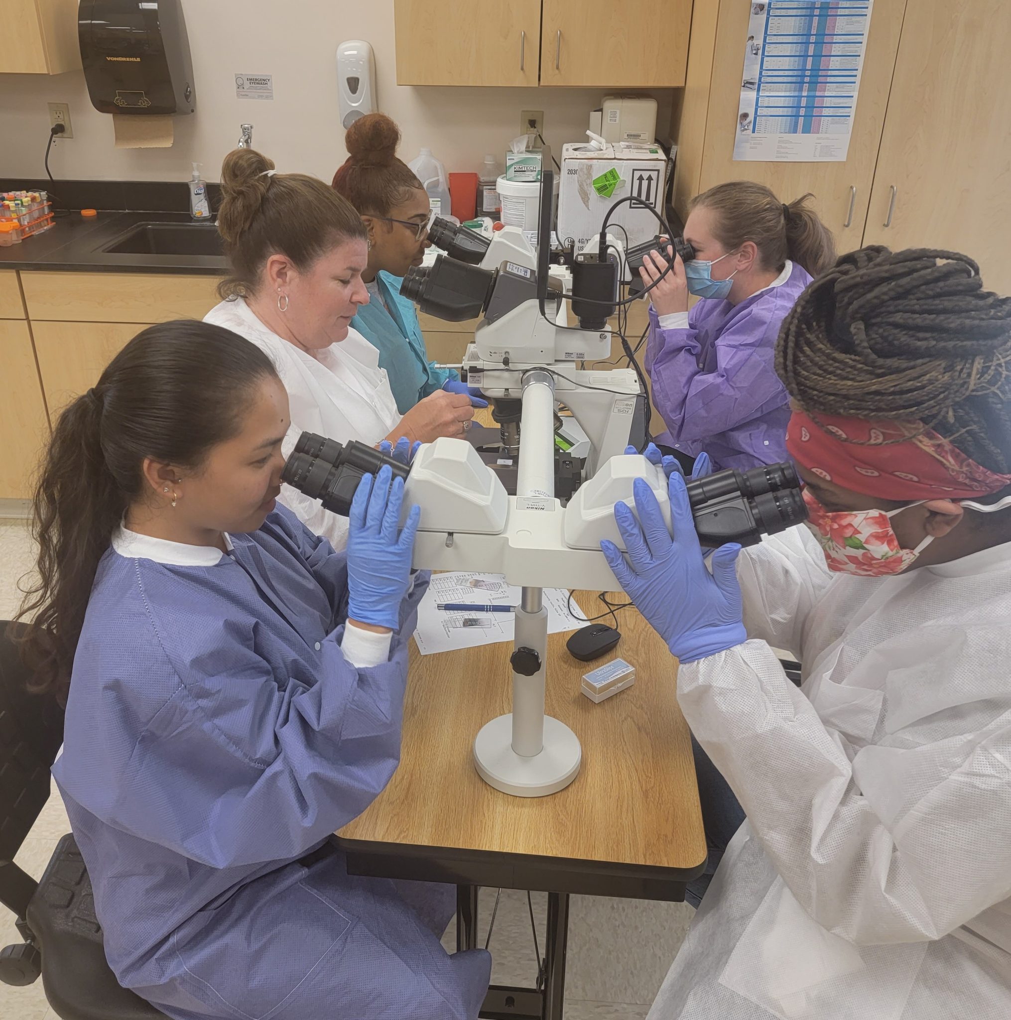 college-of-the-albemarle-s-medical-laboratory-technology-program